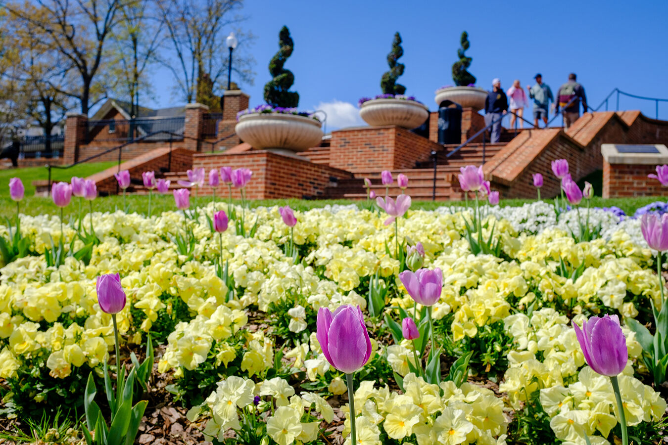HPU Arboretum Accreditation 2.jpg